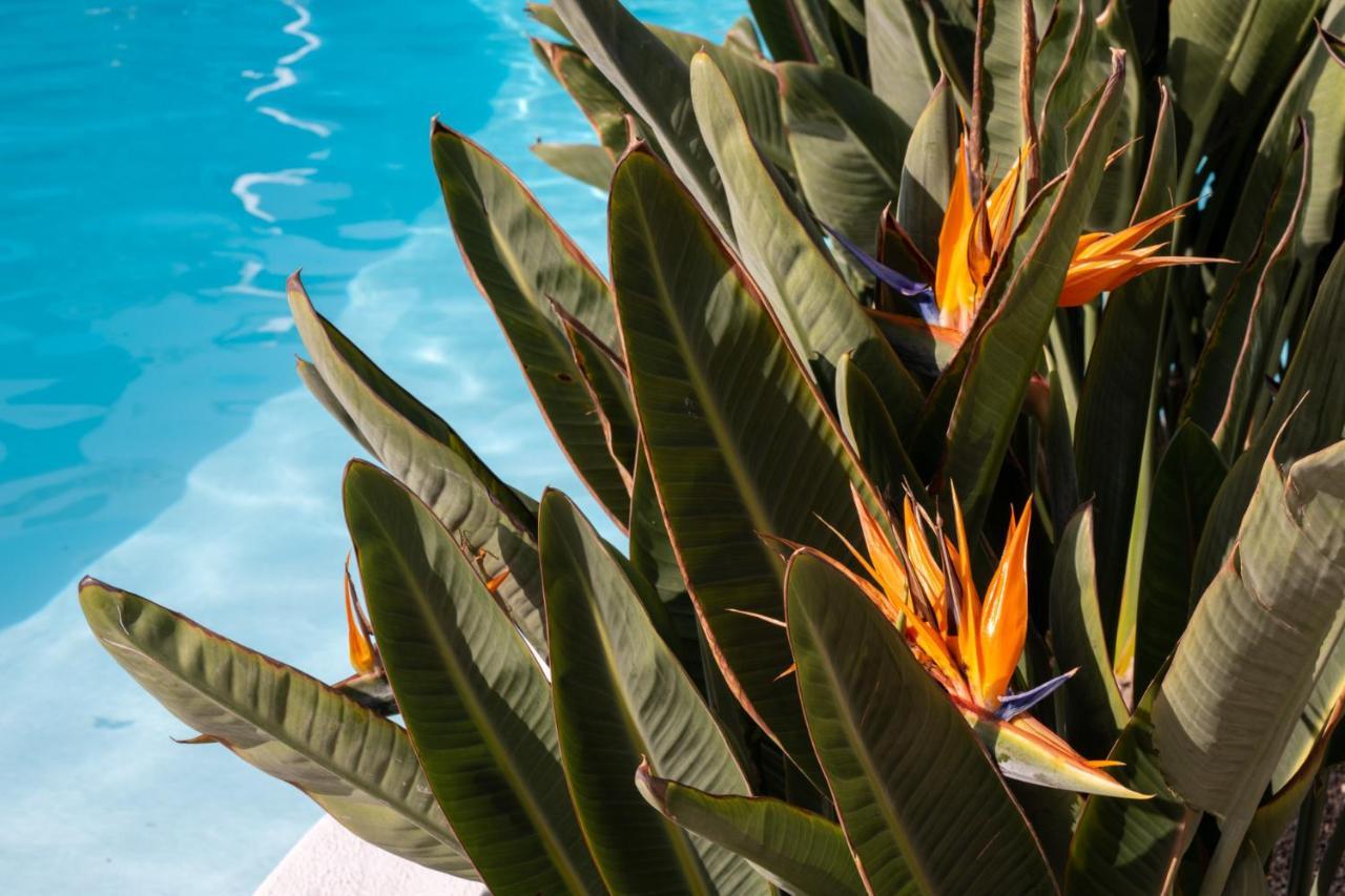 Nazaret Mansion Hotel Costa Teguise Kültér fotó